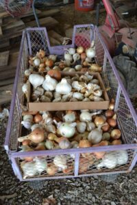 Sustainable Farming WNC