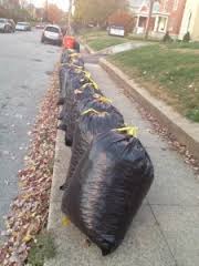 Picture of bagged leaves 