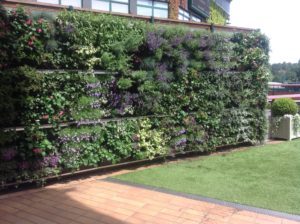 Picture of planted wall