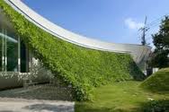 Picture of modern home with interesting shade vines
