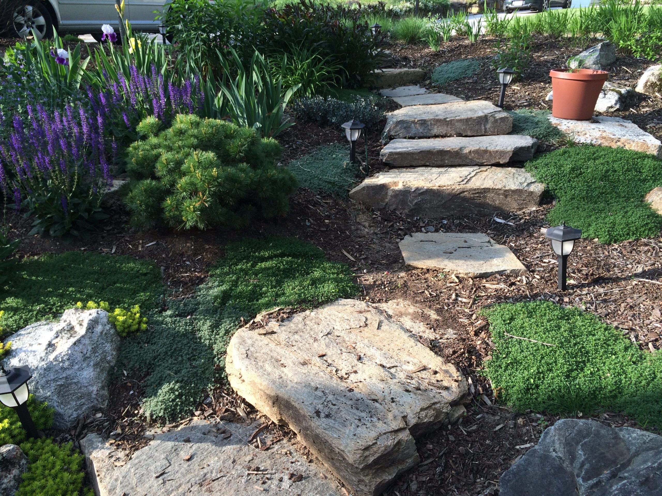 stones and ground cover